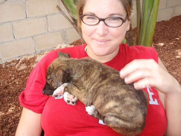 Atheist Life Hacks: How To Bathe Rescue Dogs In The Jungle