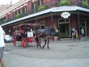The French Quarter