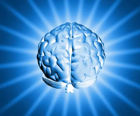 Guest Post: Understanding the other side of the coin