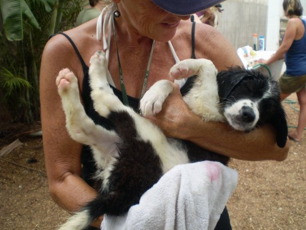 Every Atheist Needs: Tierra De Animales
