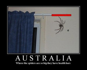 Hunstman SPiders