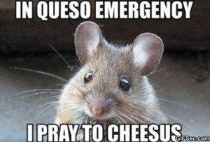 You choose prayer, I choose action.