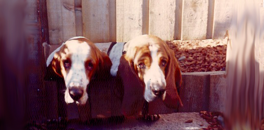 Archie & Juggy
