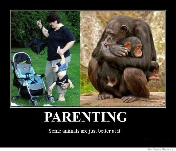 Take Off Your Panic Pants: Applying Reason To Parenting Paranoia