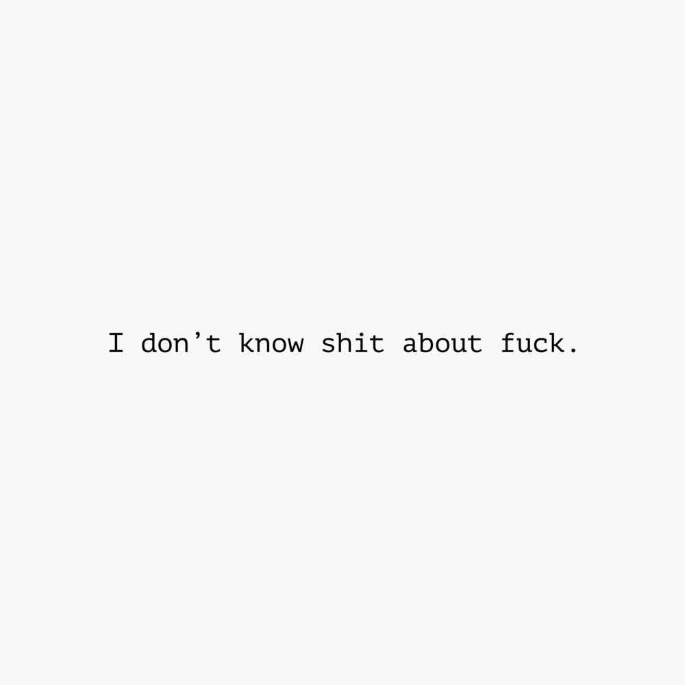I Don’t Know Shit About Fuck T-Shirt product view 4