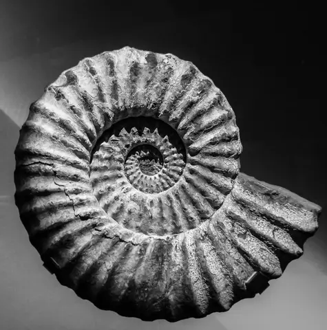 9 Things Evolution Is NOT