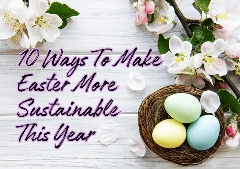 10 Ways To Make Easter More Sustainable This Year (Because the Planet Is Dying and You're Out Here Buying Plastic Grass, You Absolute Goblin)