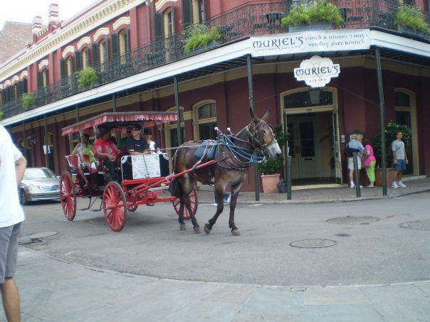 Atheist Life Hacks: How To Fall Head Over Heels For The Big Easy