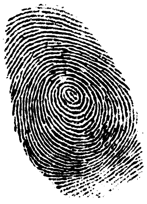 Reasonable Doubt Part 4 : Junk Science