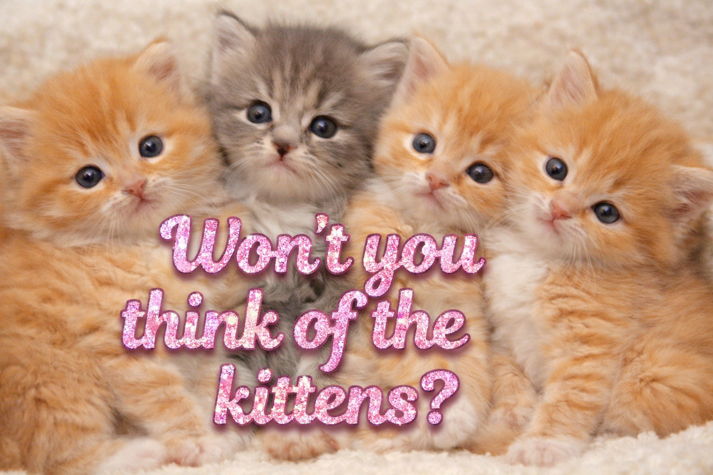 somebody think of the kittens