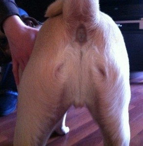Focus on Jesus